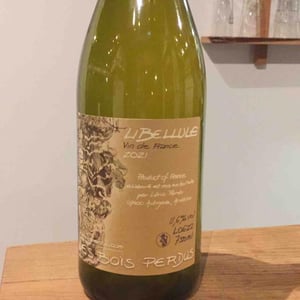 Libellule - Les Bois Perdus - lena-perdu-alexis-robin -2021