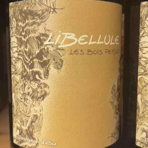Libellule - Les Bois Perdus - lena-perdu-alexis-robin -2021