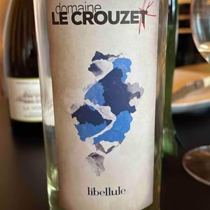 Libellule - Le Crouzet - sebastien-bru -2020