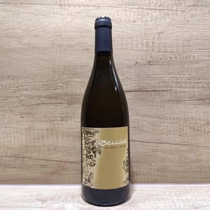 Libellule - Les Bois Perdus - lena-perdu-alexis-robin -2021