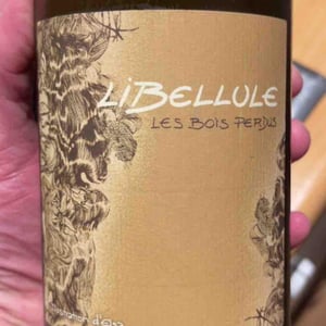 Libellule