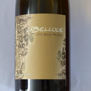 Libellule - Les Bois Perdus - Léna Perdu & Alexis Robin -2021