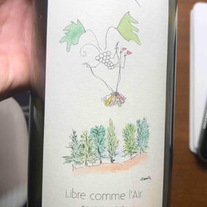 Catherine Riss - Catherine Riss - Libre Comme L'air