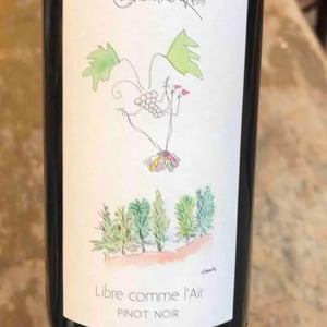 Libre Comme L'air - Catherine Riss - Catherine Riss 