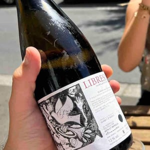 Libres ! (Rosé) - Domaine de l'Alezan - remi-patricia-bonneton