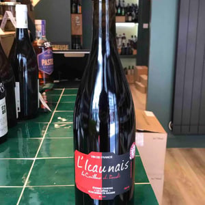 L'Icaunais - Les Cailloux du Paradis - claude-etienne-courtois