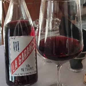 Licence III - Domaine de la Garance - Pierre Quinonero 