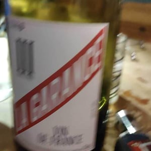 Licence III - Domaine de la Garance - pierre-quinonero
