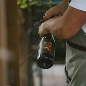 Life of the Party - Danis Dans la Vigne - danis-bessieres