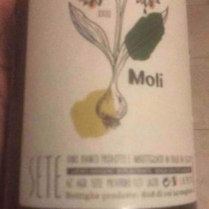 Moli - Sete - Vini Naturali - emiliano-giorgi-arcangelo-galuppi-martina-dalessio