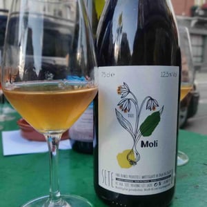 Moli - Sete - Vini Naturali - emiliano-giorgi-arcangelo-galuppi-martina-dalessio