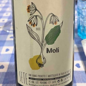 Moli - Sete - Vini Naturali - Emiliano Giorgi, Arcangelo Galuppi, Martina D’Alessio 