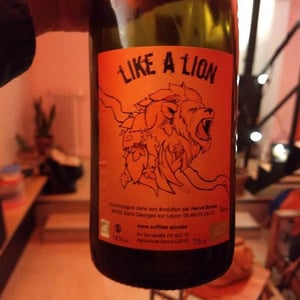 Like a Lion - La Grange de Noue Méa - marie-percevault-herve-bosse