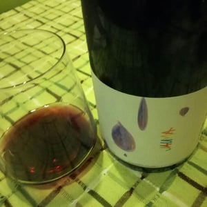 Like Raindrops - Jauma Wine - denise-james-erskine