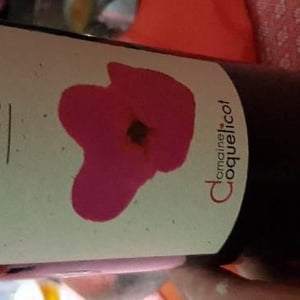 Lilas - Domaine Coquelicot - gregoire-rousseau