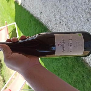 L'îlot Des Biches - Domaine de l'Enchantoir - Amandine, Jean-Michel & Fabienne Brunet 