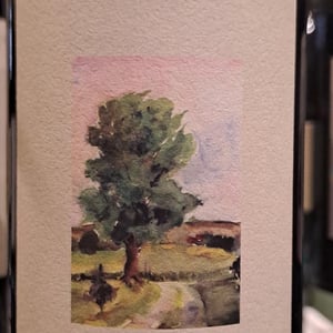 Limbecca - Paolo Francesconi - paolo-francesconi