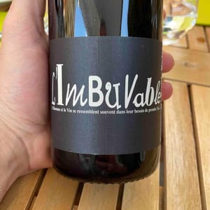 L’imbuvable - Domaine Des Vingt Vertus - julien-galabert