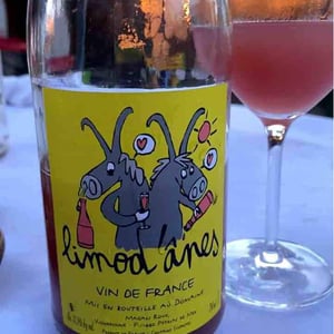 Limod'ânes - Domaine des 2 Ânes - magali-roux