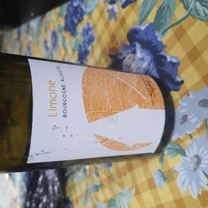 Domaine Tripoz - Céline & Laurent Tripoz - Limone