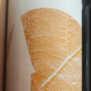 Limone - Domaine Tripoz - celine-laurent-tripoz