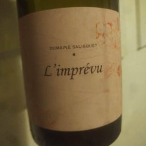 L'imprévu - Salisquet - famille-chassenard