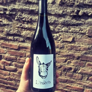 L'indécis - Domaine de l'Accalmie - anne-camille-boucher -2022