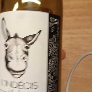 L'indécis - Domaine de l'Accalmie - Anne-Camille Boucher -2022