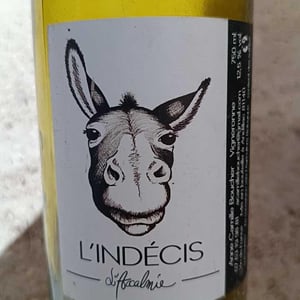 L'indécis - Domaine de l'Accalmie - Anne-Camille Boucher -2022