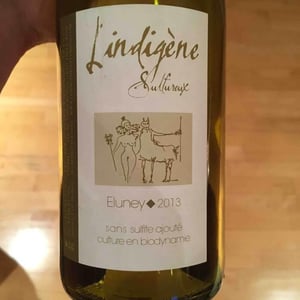 L'Indigène Sulfureux Eluney - Domaine Eric Texier - Laurence et Eric Texier 