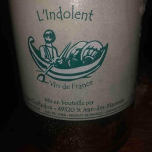 L'indolent - Didier Chaffardon - Didier Chaffardon 