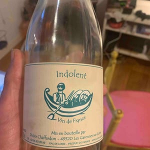 L'indolent - Didier Chaffardon - Didier Chaffardon 