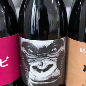 L'Indomptable - Domaine de Mena - sebastien-agelet
