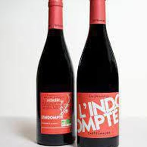 L'Indompté - Castelmaure SCV	(Coopérative) - Castelmaure SCV	(Coopérative) -2020