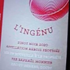 L'Ingénu - Ratapoil - Estelle & Raphaël Monnier 