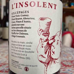 L'Insolent - Chai L'insolent - François Ecot 