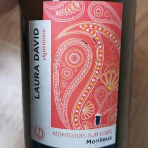 L'insolente - Laura David Vigneronne - laura-david