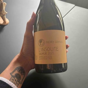 L’insolite - Domaine des Roches Neuves - thierry-et-louis-germain -2016