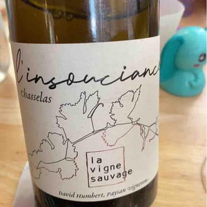 L'Insouciance - La Vigne Sauvage - David Humbert 