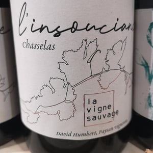 L'Insouciance - La Vigne Sauvage - david-humbert
