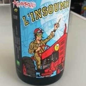 Agarrus - Serge Scherrer - L'Insoumis