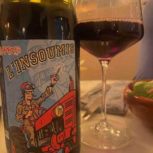 L'Insoumis - Agarrus - Serge Scherrer 