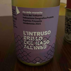L’intruso Brillo Col Naso All’insu - Aia delle Monache - vittorio-michele-verzillo -2019