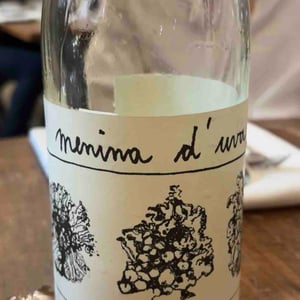 Líquen Branco - Menina D'Uva - Aline Domingues