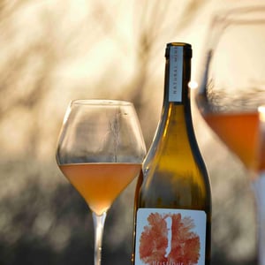 Liquid Sundowner - Kristinus - florian-zaruba