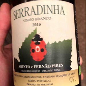 Vinho Regional Lisboa - Quinta da Serradinha - António Marques da Cruz 