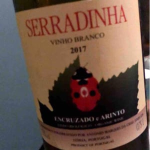 Vinho Regional Lisboa - Quinta da Serradinha - antonio-marques-da-cruz