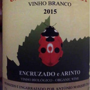 Tinto