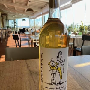 Litrozzo Bianco - Le Coste - clementine-bouveron-gianmarco-antonuzi