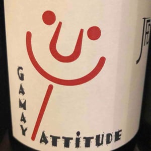 Domaine Jean François Debourg - Jean-François & Ghislaine Debourg - Gamay Attitude